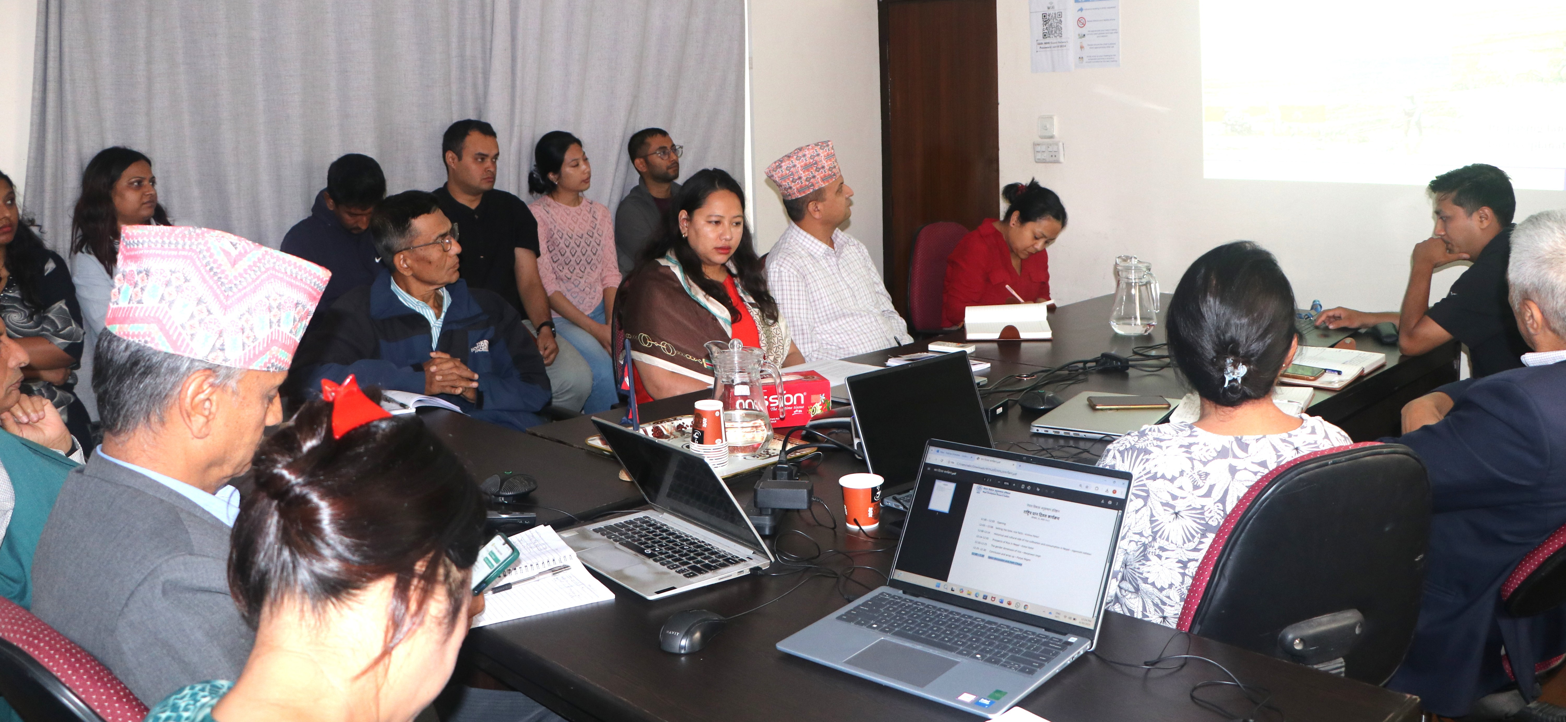 Celebrating Paddy Day 2025: Reflections on Nepal’s Agricultural Landscape