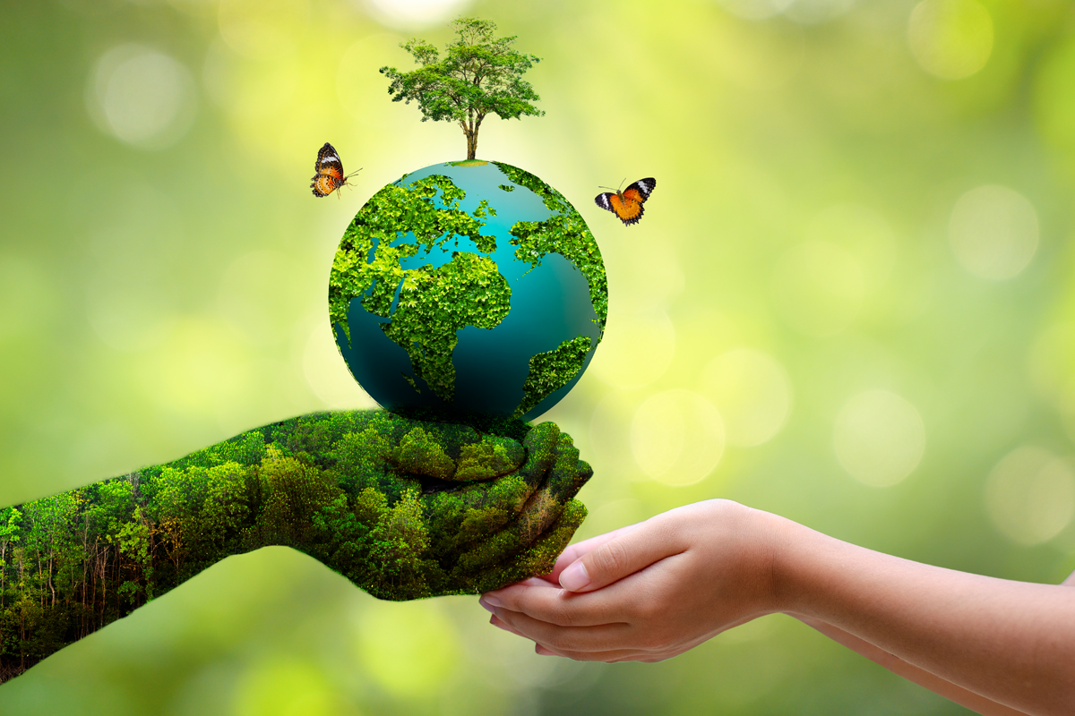 Health, Education and Environment
