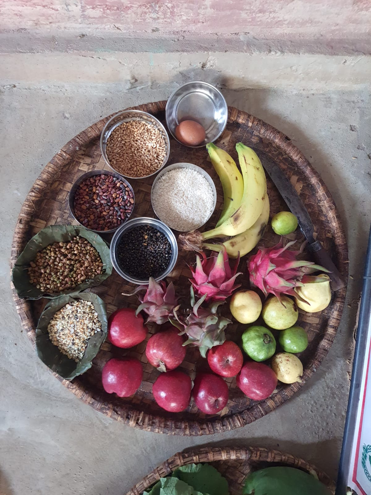 Feasibility study for the proposed project “Building Community Resilience for Food and Nutrition Security and Disaster Risk Reduction in Salyan District, Nepal” (AWO International)