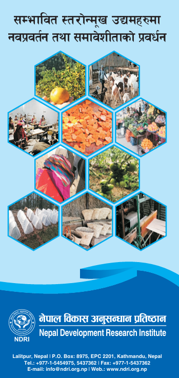 Innovation and Inclusion Project Brochure - Nepali