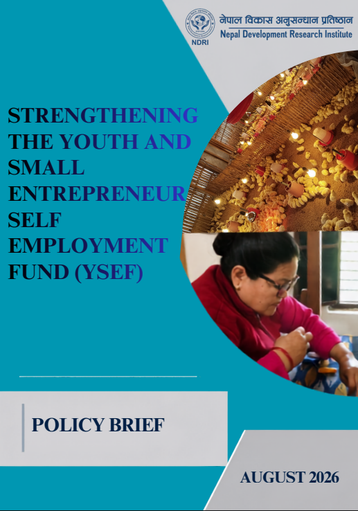 Strengthening The youth and Small Entrepreneur Self Employment Fund (YSEF)